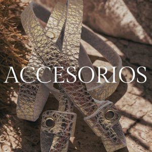 ACCESORIOS